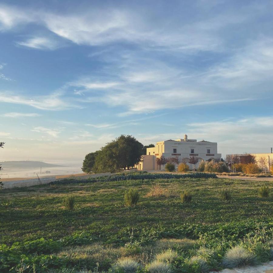 Masseria Fontana Di Vite Hotel Matera Exterior photo